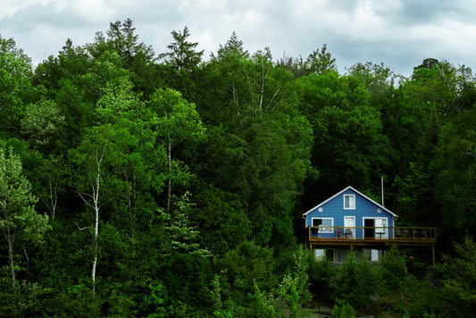 Blue Cottage in Green Forest - the perfect place for an ice bath